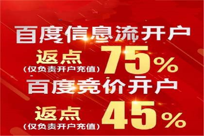 百度竞价代运营的成功案例：从零到一的突破